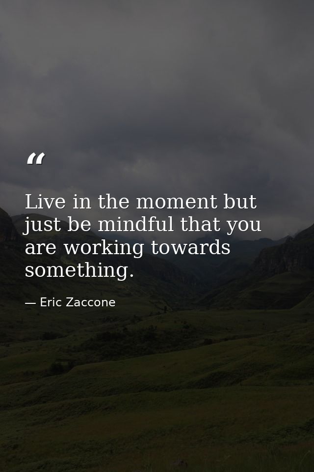 Live in the moment but just be mindful that you are working towards something. — Eric Zaccone