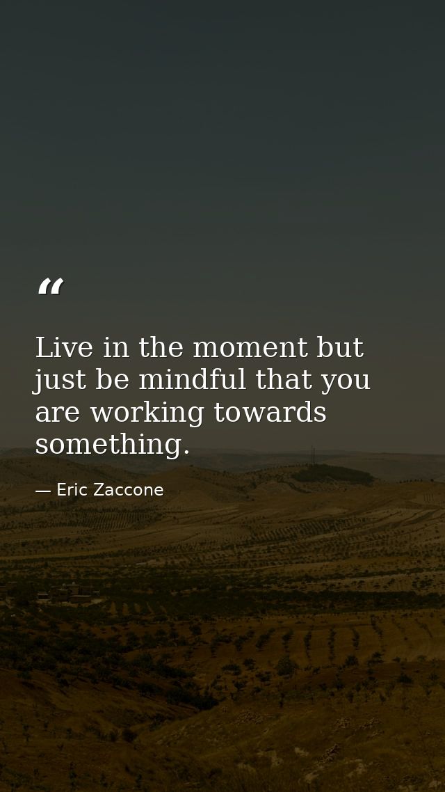 Live in the moment but just be mindful that you are working towards something. — Eric Zaccone