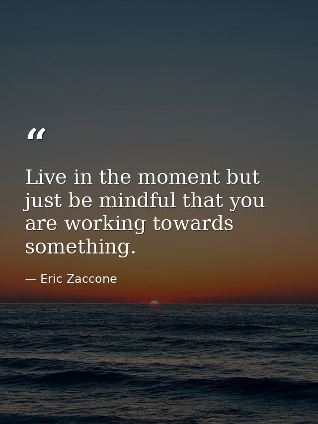 Live in the moment but just be mindful that you are working towards something. — Eric Zaccone