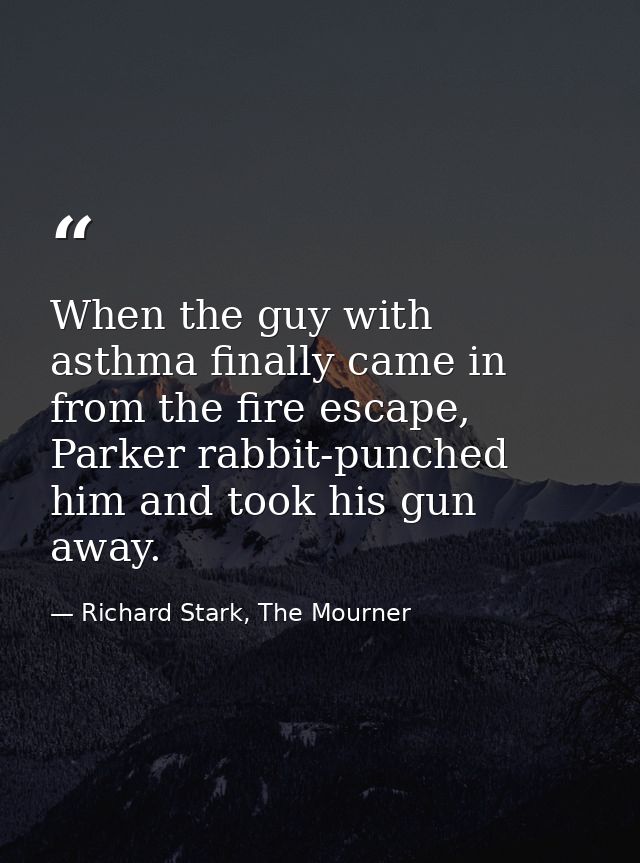 When the guy with asthma finally came in from the fire escape, Parker rabbit-punched him and took his gun away. — Richard Stark, The Mourner