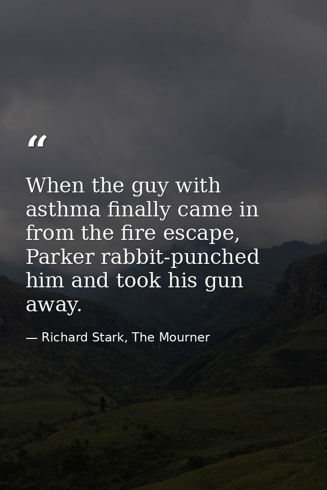 When the guy with asthma finally came in from the fire escape, Parker rabbit-punched him and took his gun away. — Richard Stark, The Mourner