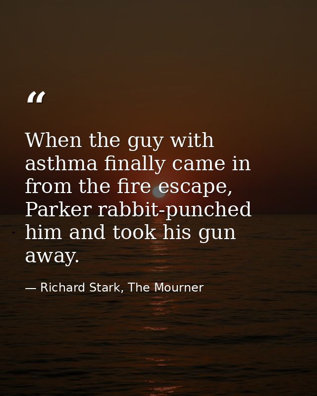 When the guy with asthma finally came in from the fire escape, Parker rabbit-punched him and took his gun away. — Richard Stark, The Mourner