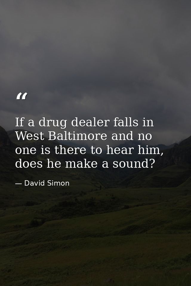 If a drug dealer falls in West Baltimore and no one is there to hear him, does he make a sound? — David Simon