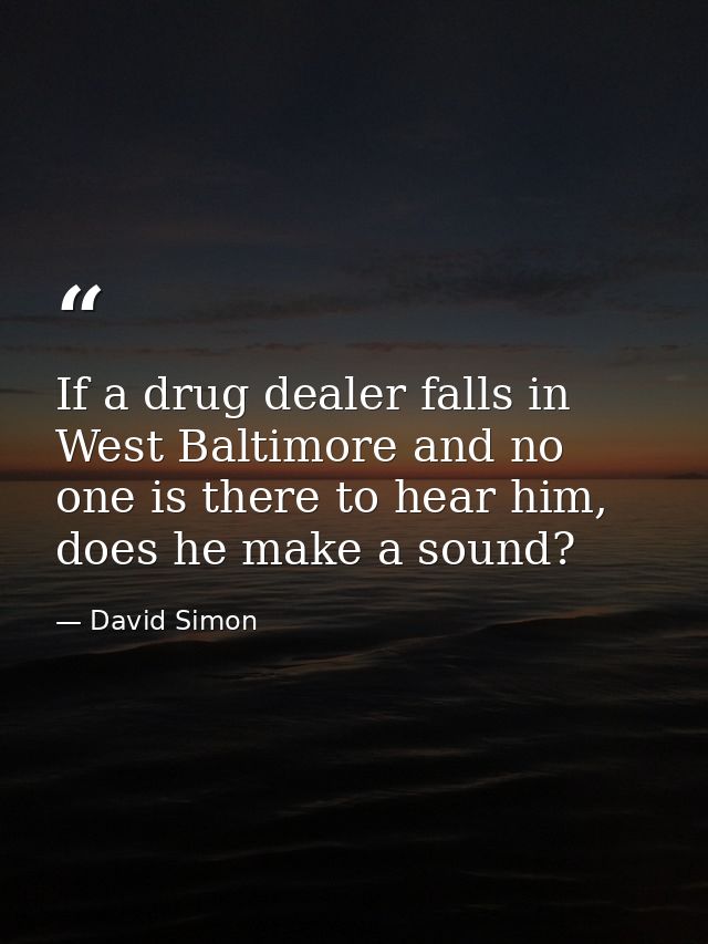 If a drug dealer falls in West Baltimore and no one is there to hear him, does he make a sound? — David Simon
