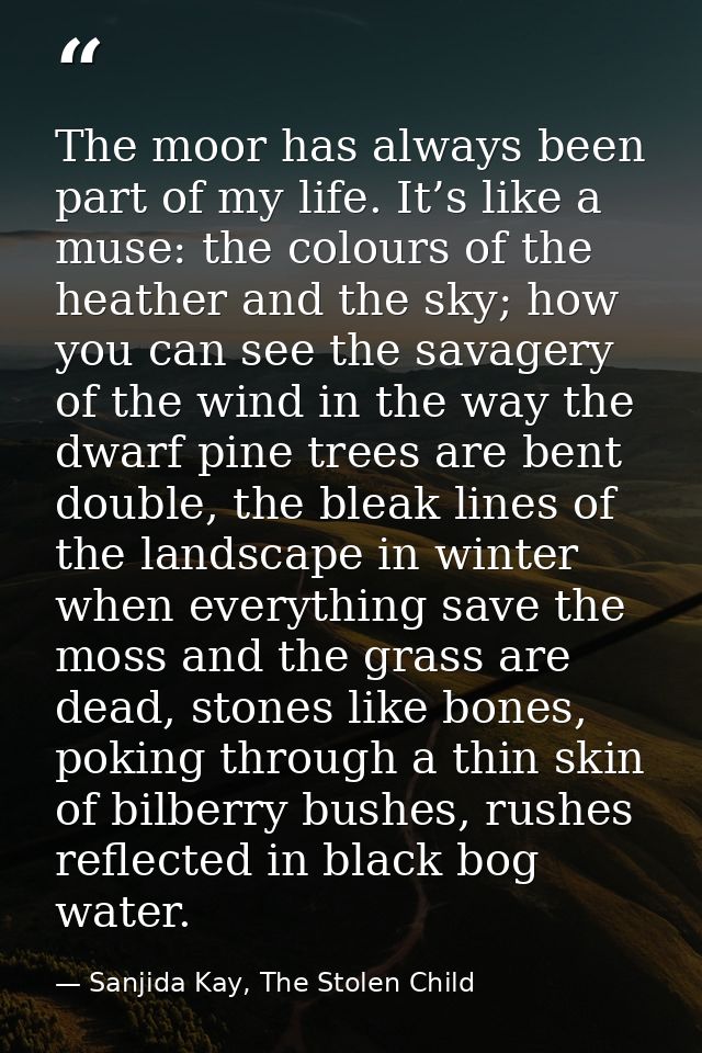 The moor has always been part of my life. It’s like a muse: the colours of the heather and the sky; how you can see the  — Sanjida Kay, The Stolen Child