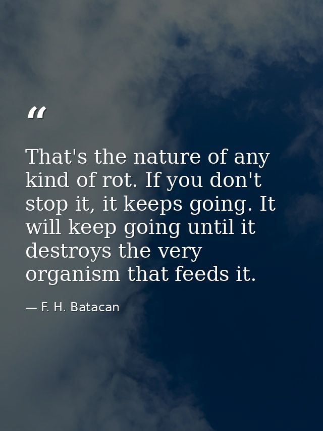 That's the nature of any kind of rot. If you don't stop it, it keeps going. It will keep going until it destroys the ver — F. H. Batacan