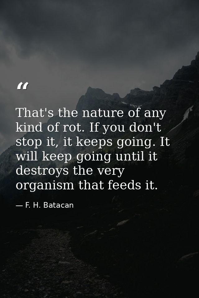 That's the nature of any kind of rot. If you don't stop it, it keeps going. It will keep going until it destroys the ver — F. H. Batacan