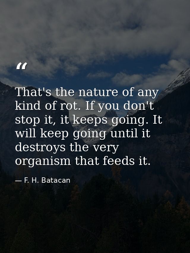 That's the nature of any kind of rot. If you don't stop it, it keeps going. It will keep going until it destroys the ver — F. H. Batacan