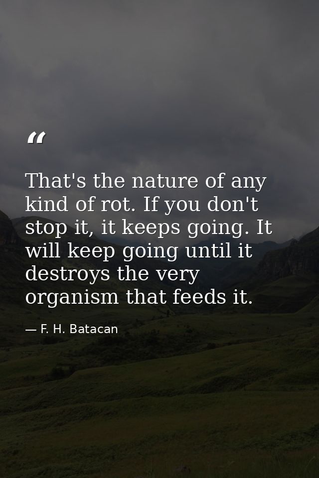 That's the nature of any kind of rot. If you don't stop it, it keeps going. It will keep going until it destroys the ver — F. H. Batacan