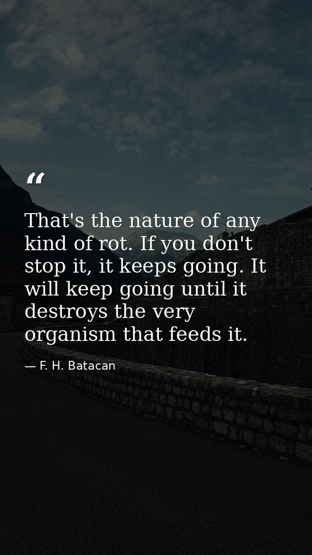 That's the nature of any kind of rot. If you don't stop it, it keeps going. It will keep going until it destroys the ver — F. H. Batacan