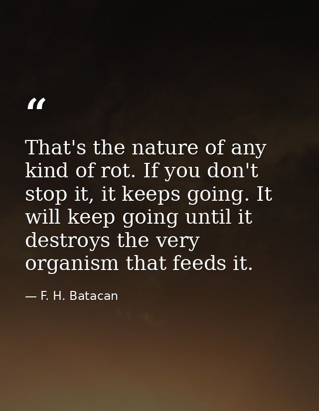 That's the nature of any kind of rot. If you don't stop it, it keeps going. It will keep going until it destroys the ver — F. H. Batacan
