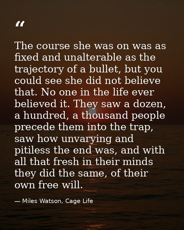 The course she was on was as fixed and unalterable as the trajectory of a bullet, but you could see she did not believe  — Miles Watson, Cage Life