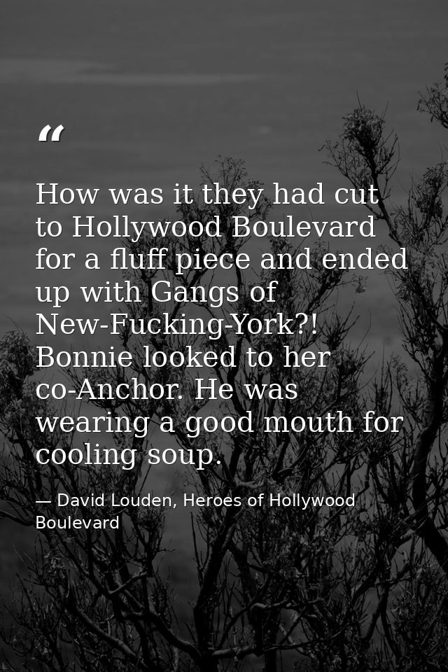 How was it they had cut to Hollywood Boulevard for a fluff piece and ended up with Gangs of New-Fucking-York?! Bonnie lo — David Louden, Heroes of Hollywood Boulevard