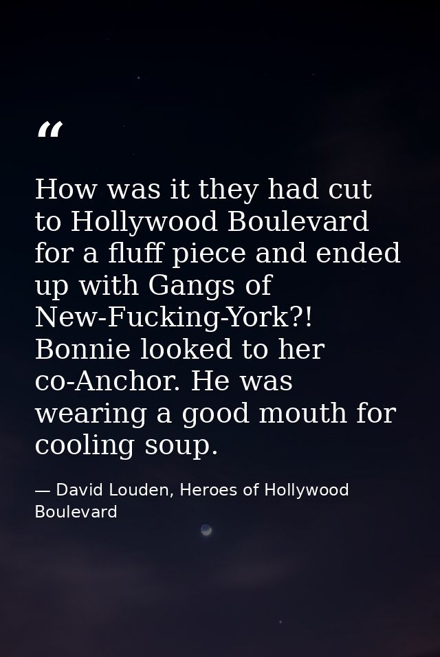How was it they had cut to Hollywood Boulevard for a fluff piece and ended up with Gangs of New-Fucking-York?! Bonnie lo — David Louden, Heroes of Hollywood Boulevard