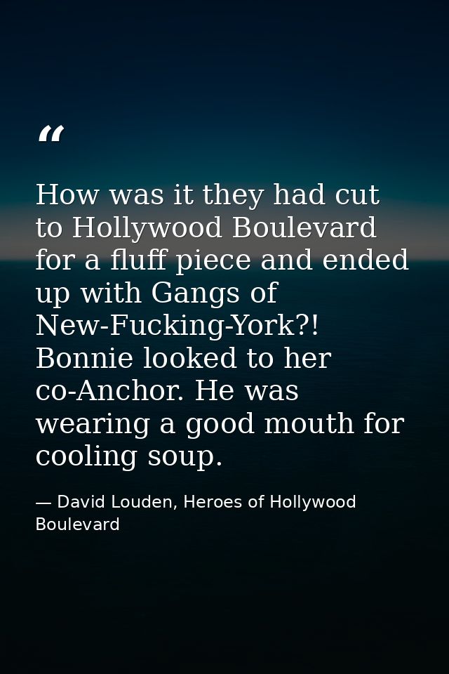 How was it they had cut to Hollywood Boulevard for a fluff piece and ended up with Gangs of New-Fucking-York?! Bonnie lo — David Louden, Heroes of Hollywood Boulevard