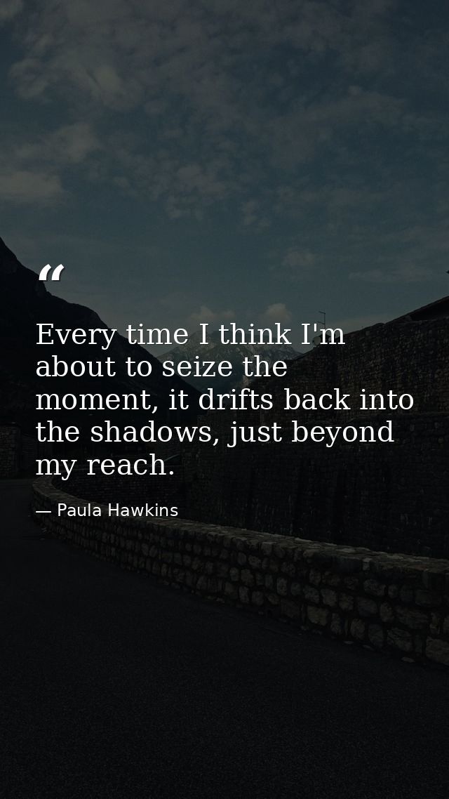 Every time I think I'm about to seize the moment, it drifts back into the shadows, just beyond my reach. — Paula Hawkins