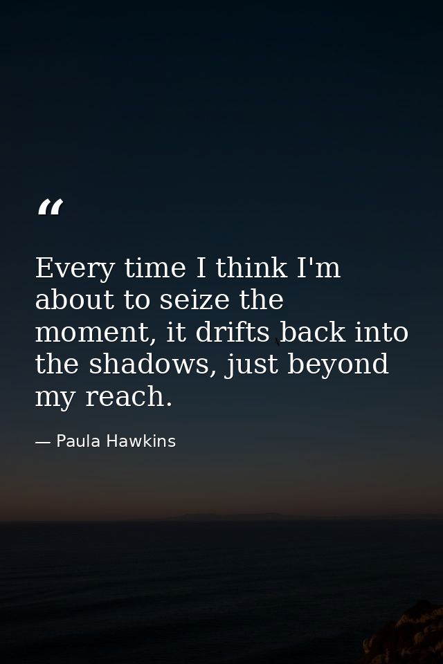 Every time I think I'm about to seize the moment, it drifts back into the shadows, just beyond my reach. — Paula Hawkins