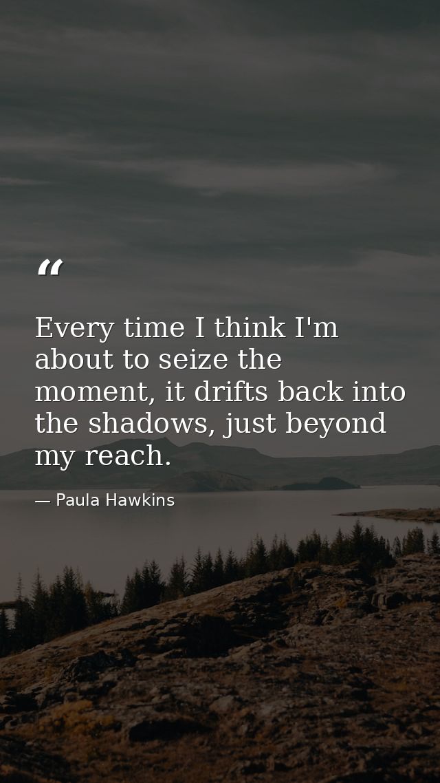 Every time I think I'm about to seize the moment, it drifts back into the shadows, just beyond my reach. — Paula Hawkins