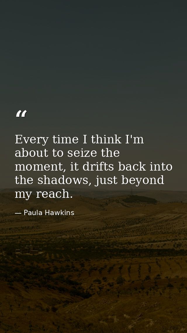 Every time I think I'm about to seize the moment, it drifts back into the shadows, just beyond my reach. — Paula Hawkins