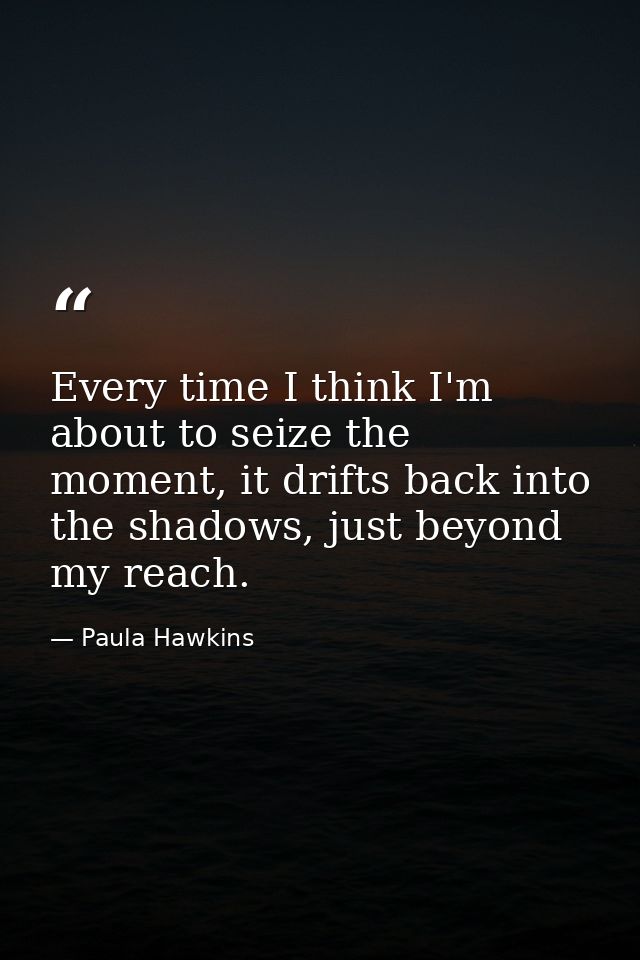 Every time I think I'm about to seize the moment, it drifts back into the shadows, just beyond my reach. — Paula Hawkins