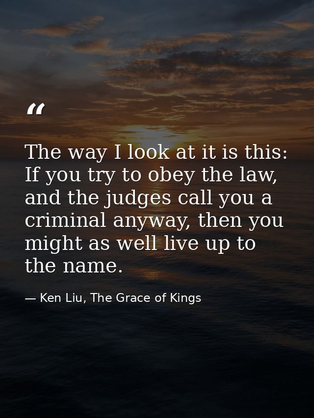 The way I look at it is this: If you try to obey the law, and the judges call you a criminal anyway, then you might as w — Ken Liu, The Grace of Kings