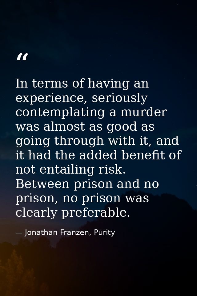 In terms of having an experience, seriously contemplating a murder was almost as good as going through with it, and it h — Jonathan Franzen, Purity