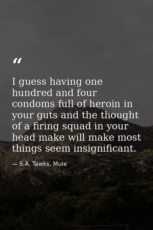 I guess having one hundred and four condoms full of heroin in your guts and the thought of a firing squad in your head m — S.A. Tawks, Mule