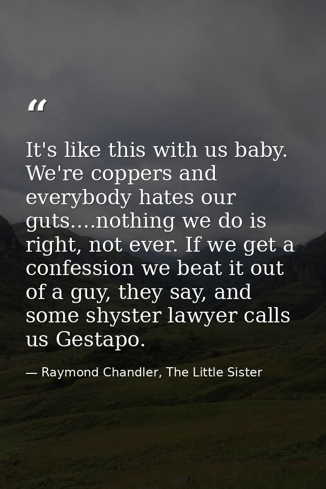 It's like this with us baby. We're coppers and everybody hates our guts....nothing we do is right, not ever. If we get a — Raymond Chandler, The Little Sister