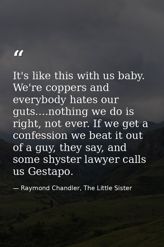 It's like this with us baby. We're coppers and everybody hates our guts....nothing we do is right, not ever. If we get a — Raymond Chandler, The Little Sister