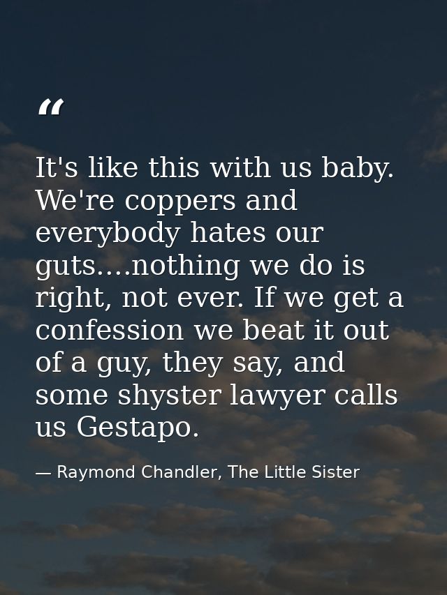 It's like this with us baby. We're coppers and everybody hates our guts....nothing we do is right, not ever. If we get a — Raymond Chandler, The Little Sister