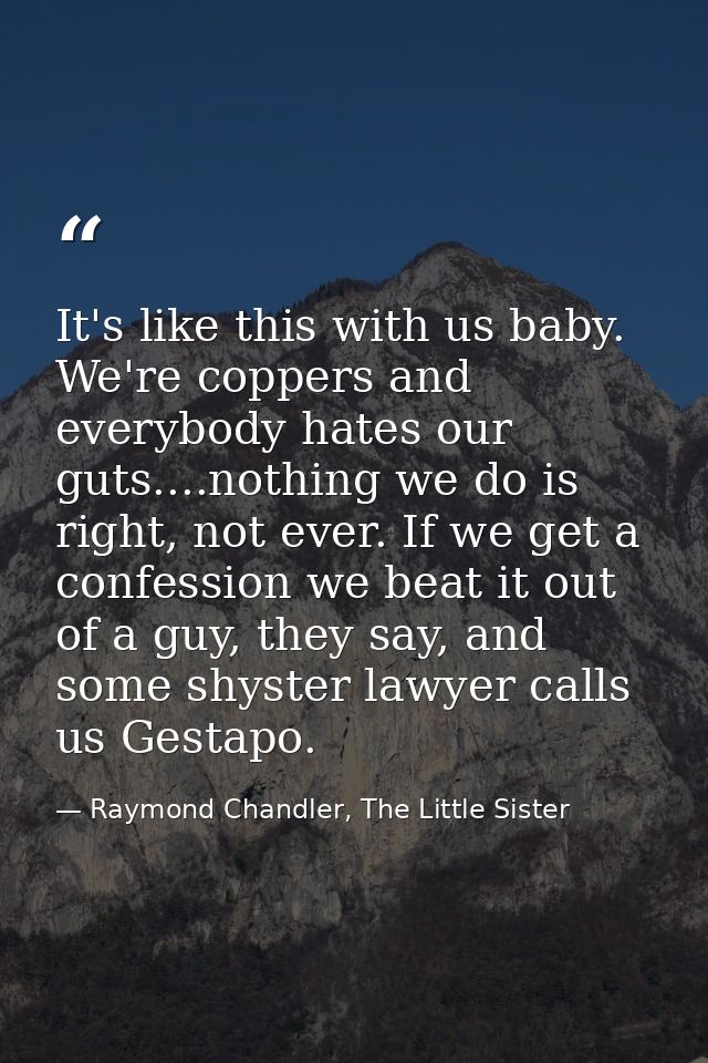 It's like this with us baby. We're coppers and everybody hates our guts....nothing we do is right, not ever. If we get a — Raymond Chandler, The Little Sister