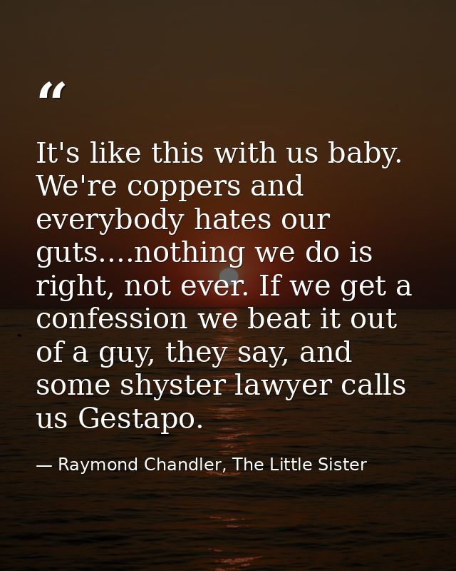 It's like this with us baby. We're coppers and everybody hates our guts....nothing we do is right, not ever. If we get a — Raymond Chandler, The Little Sister