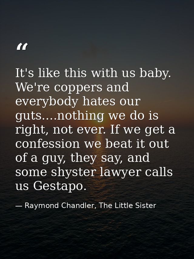 It's like this with us baby. We're coppers and everybody hates our guts....nothing we do is right, not ever. If we get a — Raymond Chandler, The Little Sister