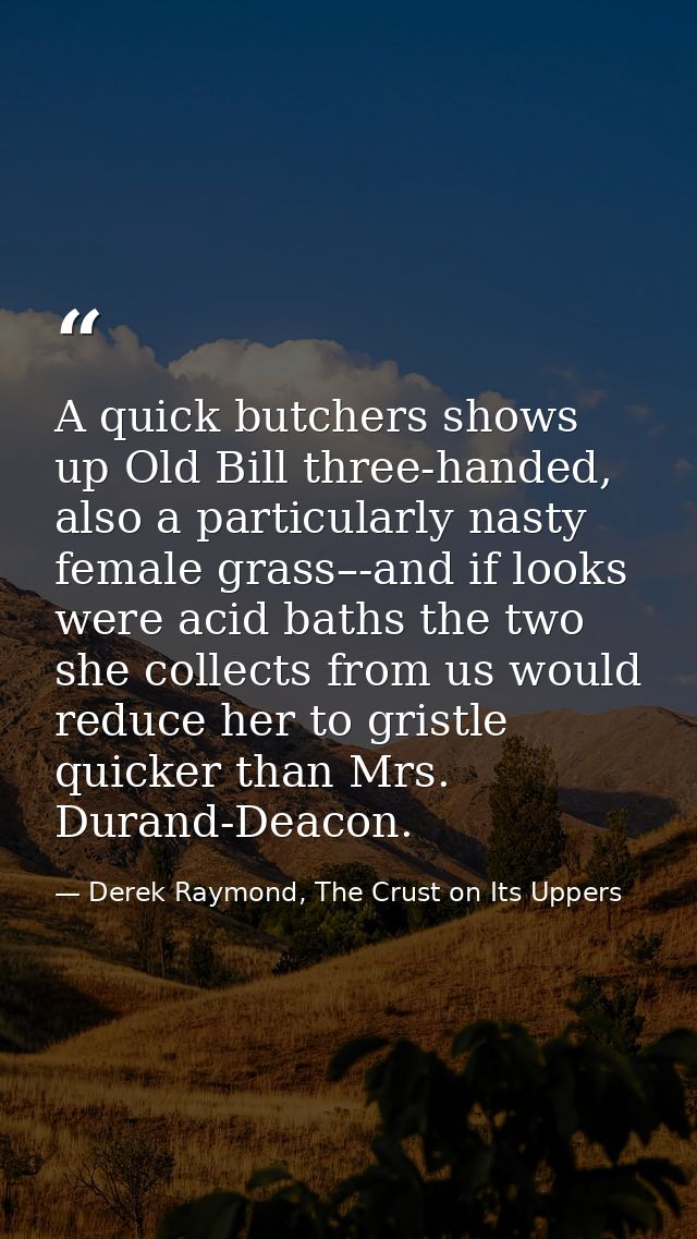 A quick butchers shows up Old Bill three-handed, also a particularly nasty female grass–-and if looks were acid baths th — Derek Raymond, The Crust on Its Uppers