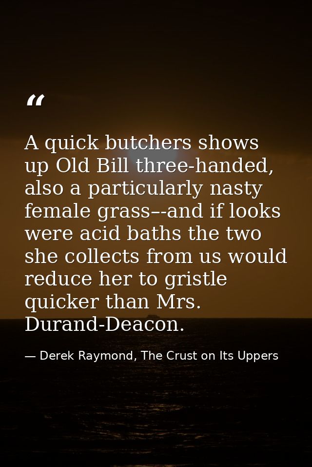 A quick butchers shows up Old Bill three-handed, also a particularly nasty female grass–-and if looks were acid baths th — Derek Raymond, The Crust on Its Uppers