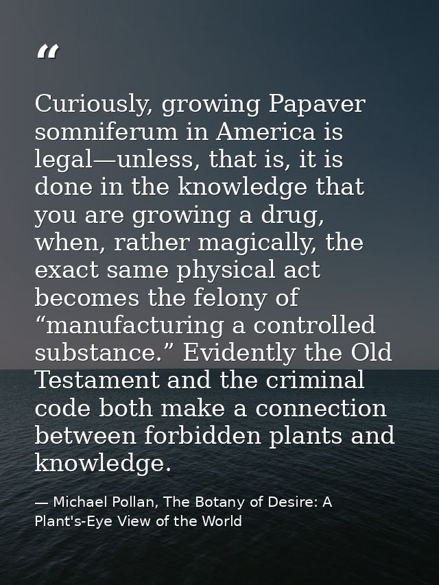 Curiously, growing Papaver somniferum in America is legal—unless, that is, it is done in the knowledge that you are grow — Michael Pollan, The Botany of Desire: A Plant's-Eye View of the World
