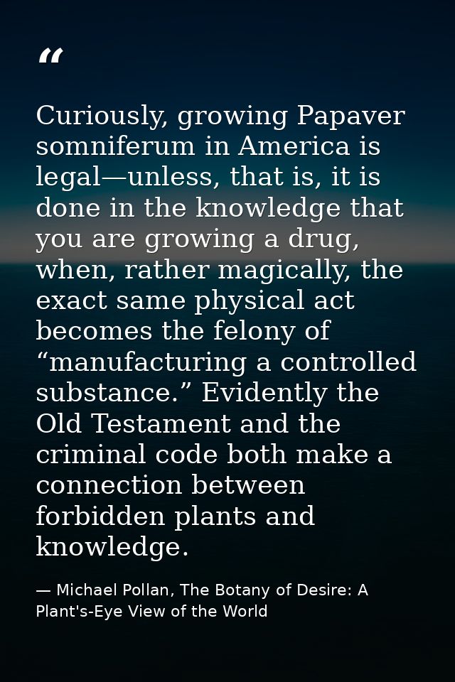 Curiously, growing Papaver somniferum in America is legal—unless, that is, it is done in the knowledge that you are grow — Michael Pollan, The Botany of Desire: A Plant's-Eye View of the World