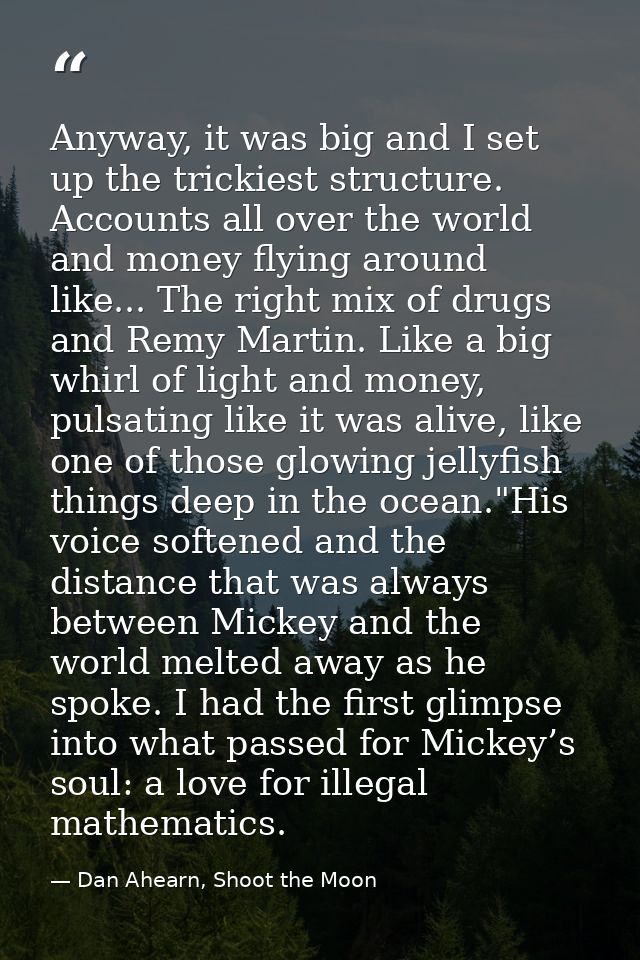 Anyway, it was big and I set up the trickiest structure. Accounts all over the world and money flying around like... The — Dan Ahearn, Shoot the Moon