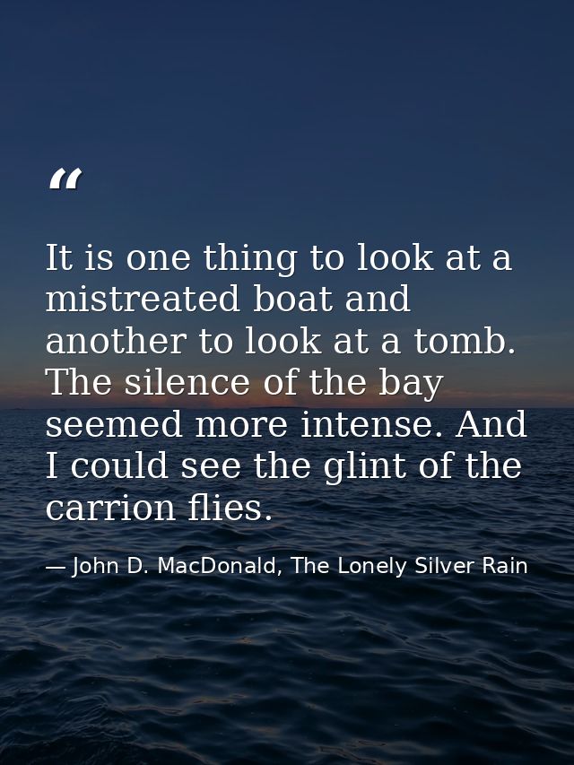 It is one thing to look at a mistreated boat and another to look at a tomb. The silence of the bay seemed more intense.  — John D. MacDonald, The Lonely Silver Rain