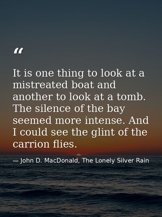 It is one thing to look at a mistreated boat and another to look at a tomb. The silence of the bay seemed more intense.  — John D. MacDonald, The Lonely Silver Rain