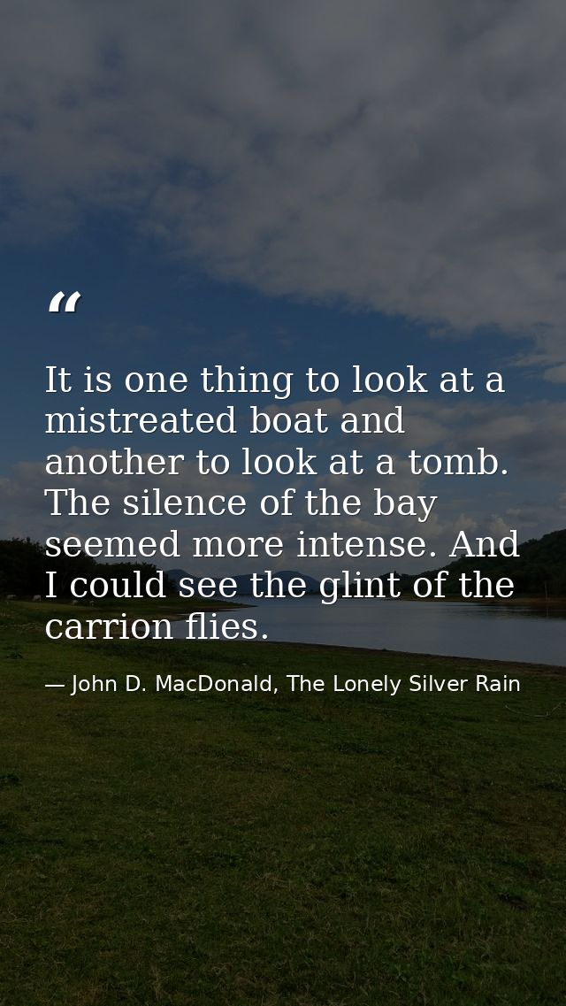 It is one thing to look at a mistreated boat and another to look at a tomb. The silence of the bay seemed more intense.  — John D. MacDonald, The Lonely Silver Rain