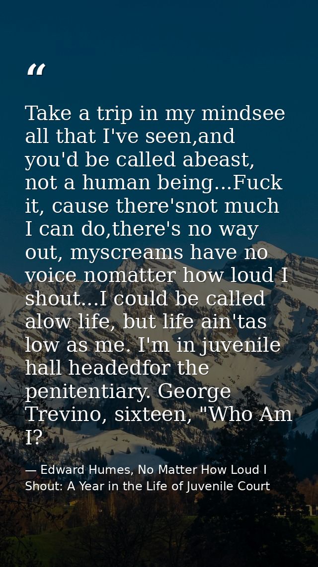 Take a trip in my mindsee all that I've seen,and you'd be called abeast, not a human being...Fuck it, cause there'snot m — Edward Humes, No Matter How Loud I Shout: A Year in the Life of Juvenile Court