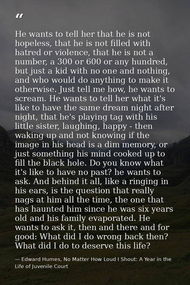 He wants to tell her that he is not hopeless, that he is not filled with hatred or violence, that he is not a number, a  — Edward Humes, No Matter How Loud I Shout: A Year in the Life of Juvenile Court