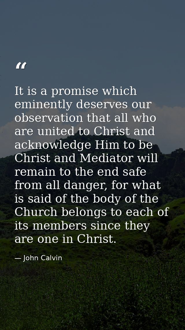 It is a promise which eminently deserves our observation that all who are united to Christ and acknowledge Him to be Chr — John Calvin
