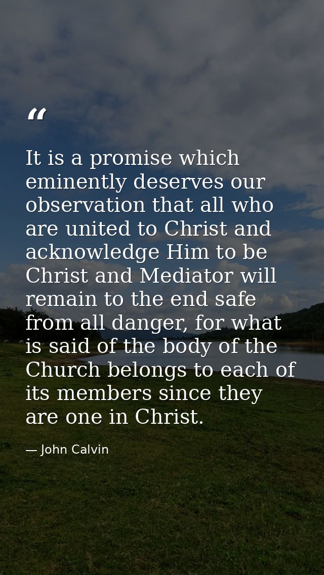 It is a promise which eminently deserves our observation that all who are united to Christ and acknowledge Him to be Chr — John Calvin