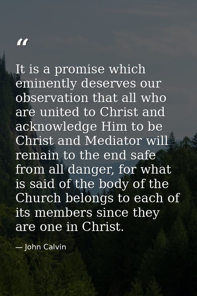 It is a promise which eminently deserves our observation that all who are united to Christ and acknowledge Him to be Chr — John Calvin