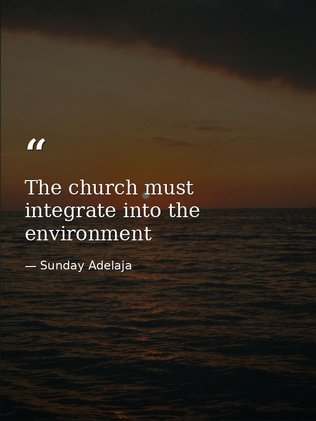 The church must integrate into the environment — Sunday Adelaja