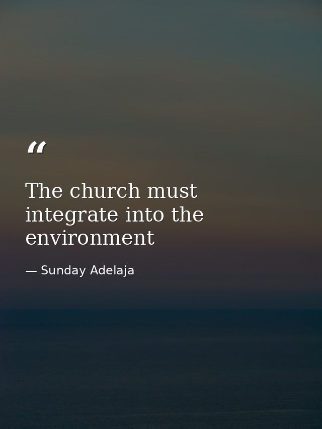 The church must integrate into the environment — Sunday Adelaja
