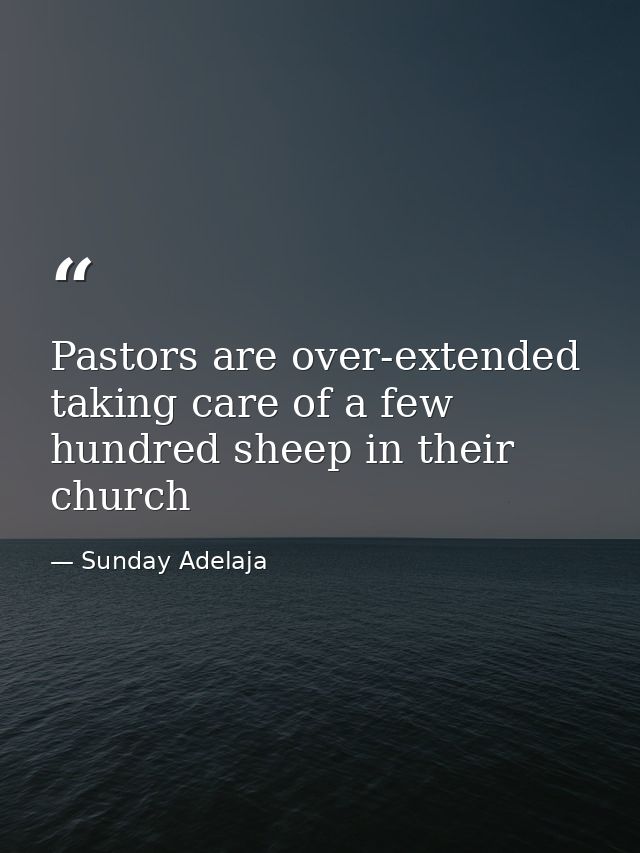 Pastors are over-extended taking care of a few hundred sheep in their church — Sunday Adelaja
