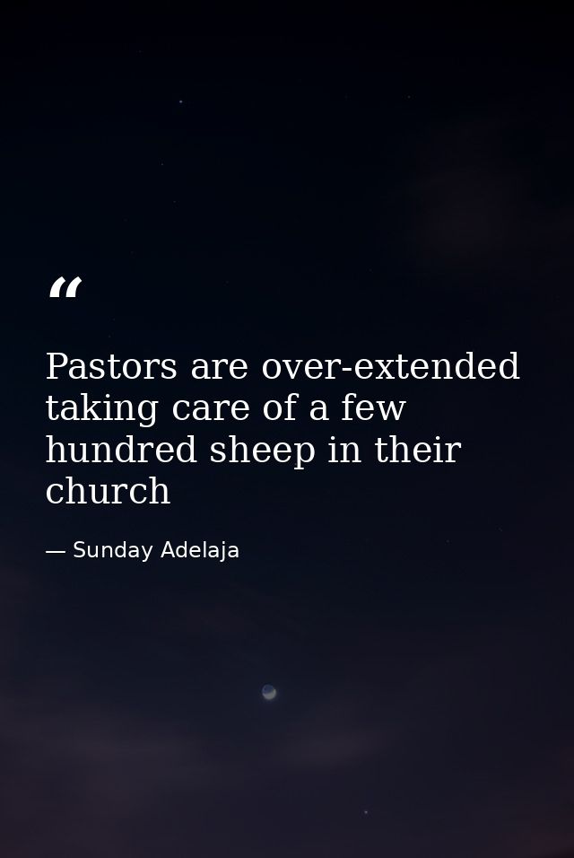 Pastors are over-extended taking care of a few hundred sheep in their church — Sunday Adelaja